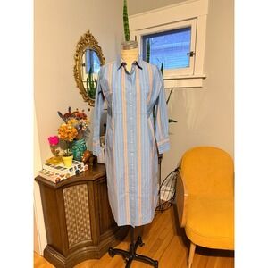 Everlane NWT Blue Stripe Button Down Shirt Dress Long Sleeve 100% cotton XXS